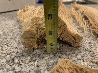 IMG_6913.jpg