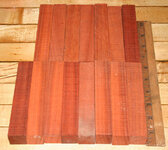 Padauk 001.JPG