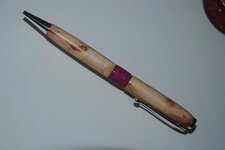 Pens - 2-12-10 Manzanita, purple band, silver.jpg