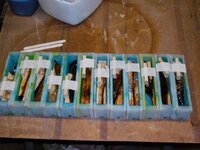 timber preparation 1290_(1).jpg