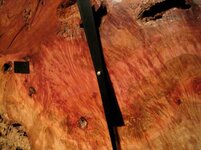 IMG_0386 resize.jpg