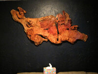 IMG_0388 resize.jpg
