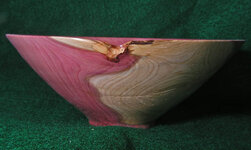 Cedar Bowl 03.jpg