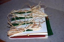 Journal - 2-21-10 Soft Cover, Reed and Leather.jpg