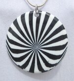 1_zebra.JPG