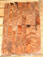 Birch burl 001.JPG