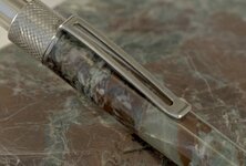 Pen 1closeup.jpeg