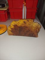 20200221_124801.jpg