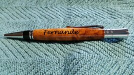 Excecutive Fernande.jpg