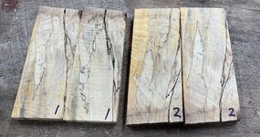 Hickory 1.jpg