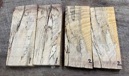 Hickory 2.jpg