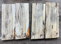 Hickory 4.jpg