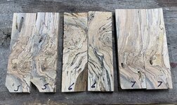 Maple 5-7.jpg