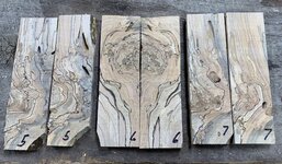 Maple 5-7 (2).jpg