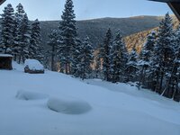 IMG_20200412_072027.jpg