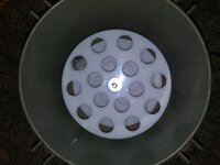 20200421_202942.jpg