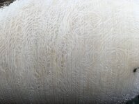 70E8FB27-308C-4808-BB28-B07887D9A5B1.jpeg