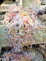 shavings03.jpg