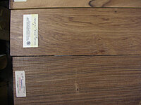 Copy of IMGP0537.JPG