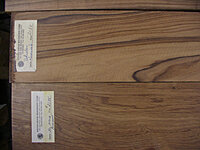 Copy of IMGP0538.JPG