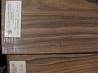 Copy of IMGP0542.JPG
