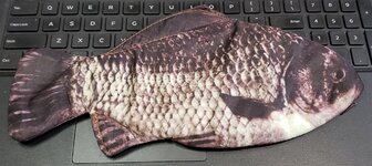 fish01.jpg