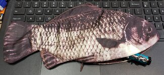 fish03.jpg