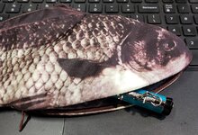 fish04.jpg