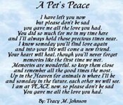 A pet's peace.jpg