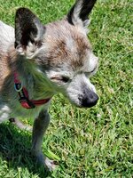 20200522_104347.jpg