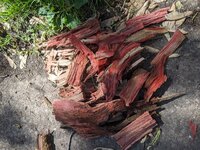 Driftwood Sculpture 1.jpg