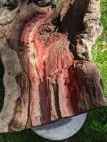 Driftwood Sculpture 2.jpg