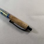 IMG_6481.JPG