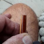 20200617_160304.jpg