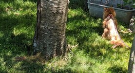 HideSeek4.jpg