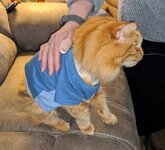 IMG_20200429_181251.jpg