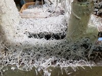 shavings05.jpg