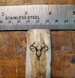 antler.jpg