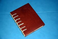Journal - 2-27-10 Pigskin - Cord.jpg