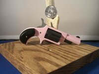 pinklady.jpg