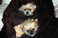 Skye Walker 1-15-09 6.jpg