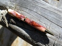IMG_1572.jpg