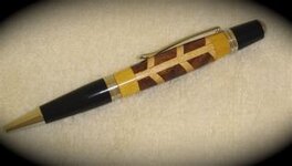 segmented pen.jpg