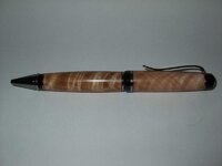 2010_03080002.jpg