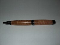 2010_03080004.jpg
