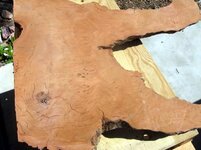 1redwood 001.jpg