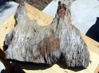 1redwood 003.jpg