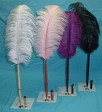 feather pens 1.jpg