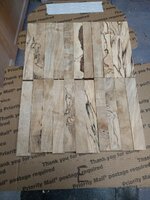 IMG_20200726_115012841.jpg