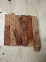 IMG_20200727_075531201.jpg